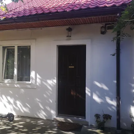 Casa Miron Unirii 3strada Matei Corvin Appartement Timişoara