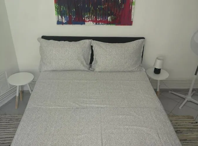 Apartment Casa Miron Unirii 3strada Matei Corvin Timisoara