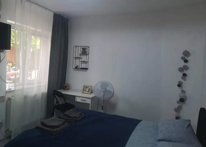 Casa Miron Unirii 3strada Matei Corvin Timisoara